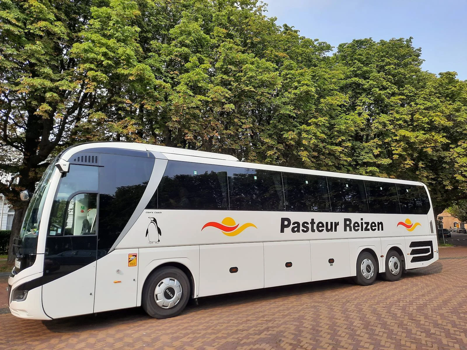 a29d5801-dc24-4ea8-81fb-3cf7c935d10d